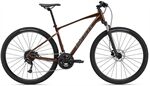 Xe đạp địa hình thể thao Giant Roam 2 Disc 2022